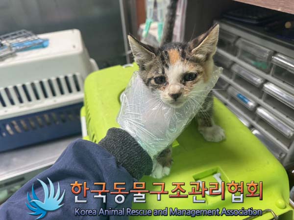 한국동물구조관리협회_441409202401124